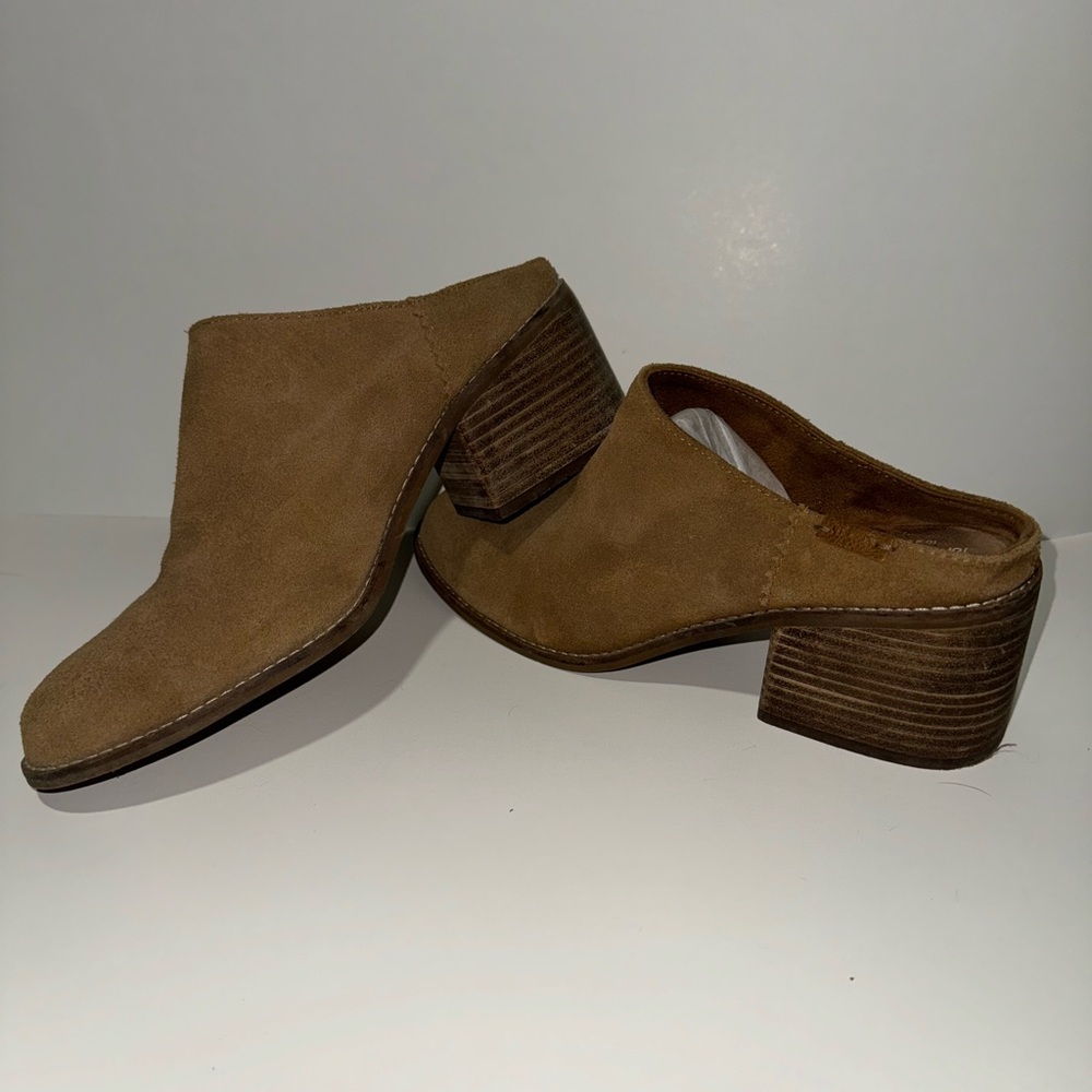 Toms Mule
